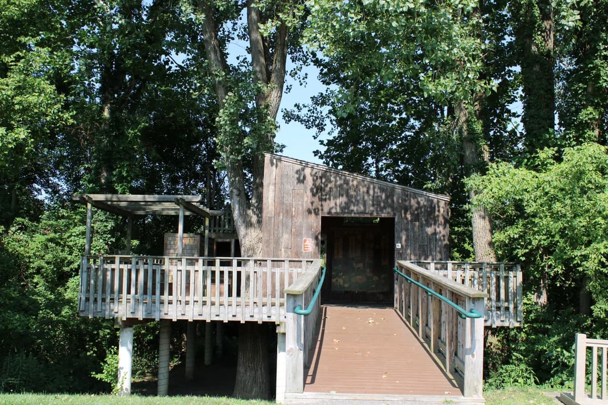 BookNoFees 샘플 이미지: 나무 줄기 사이에 자리 잡은 목재 트리하우스와 목재 산책로, 푸른 정원