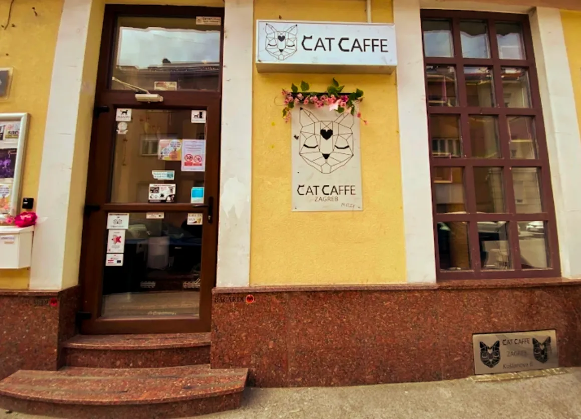 BookNoFees: 카페 – Cat Caffe – Zagreb – 고양이 카페, 사진 1