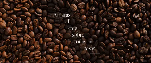 BookNoFees: 카페 – Religion - Specialty coffee – Madrid – 종교 - 스페셜티 커피, 사진 3