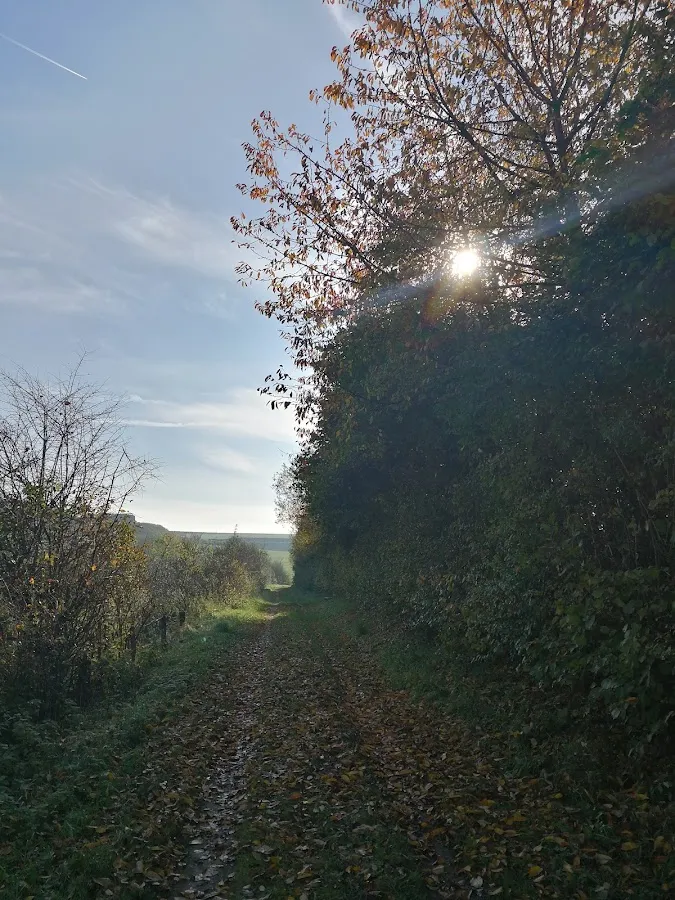 BookNoFees: 음식점 – Erlingser Treff – Marsberg – Erlingser Treff, 사진 1
