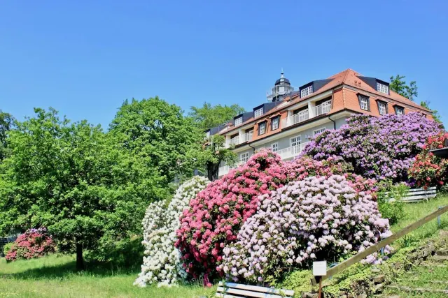 BookNoFees: Ferienwohnung Natur und Kunst, 드레스덴, 작센 스위스 – Dresden