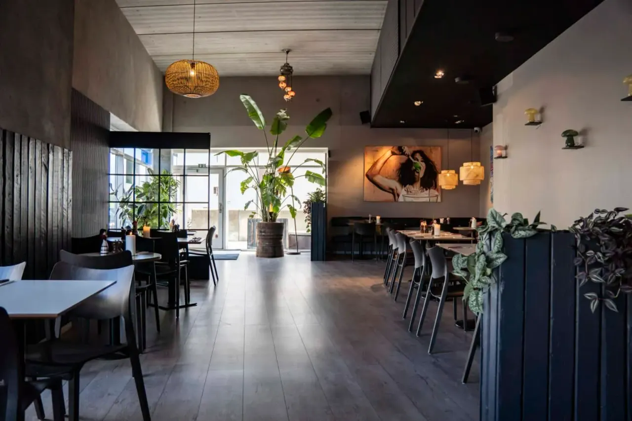 BookNoFees: 카페 – Café Phenix - Amager – Copenhagen – 카페 피닉스 - 아마게르, 사진 1