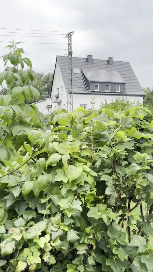 BookNoFees: 음식점 – Landgasthof Gruß Sebastian – Brilon – Landgasthof Gruß Sebastian, 사진 3