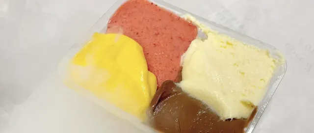BookNoFees: 아이스크림 – Gelateria Fassi – Rome – Gelateria Fassi, 사진 3