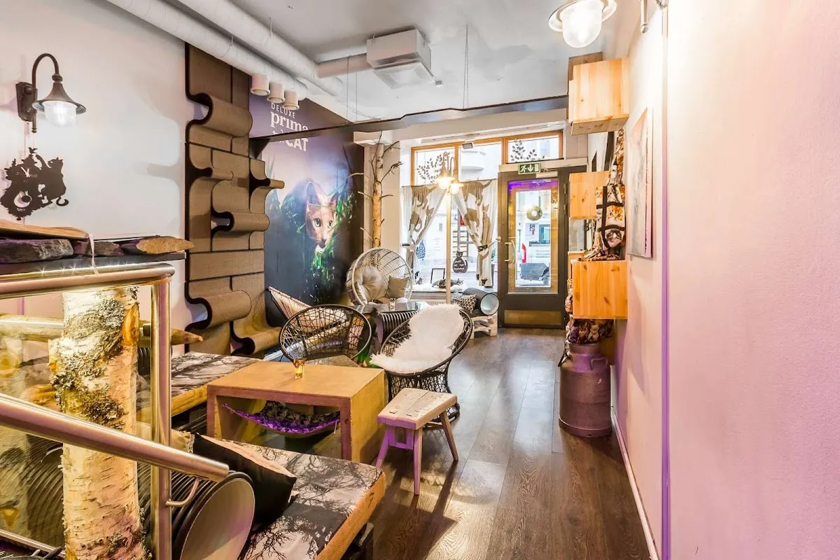 BookNoFees: 카페 – Kissakahvila Helkatti – Helsinki – 고양이 카페 헬카티, 사진 1